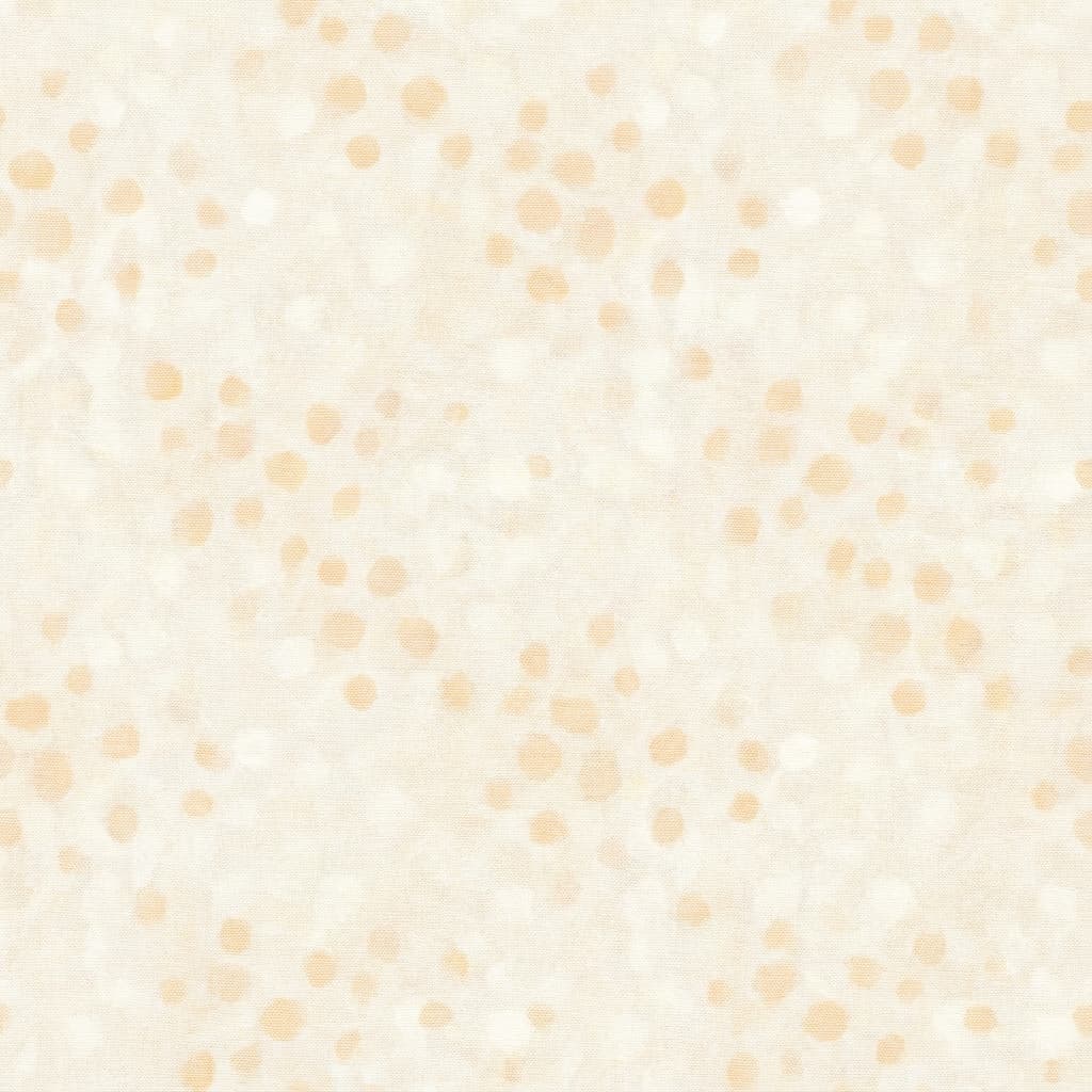 今月のチャレンジ